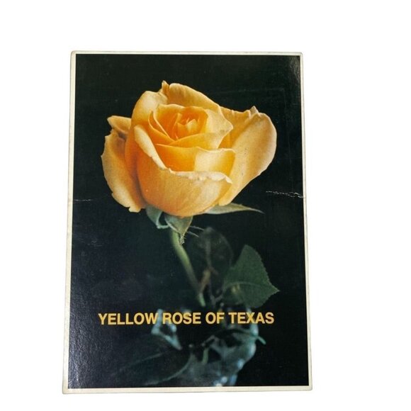 Texas Vintage Postcard Yellow Rose Postmarked u 1985 NonTopographical Standard - Picture 1 of 3
